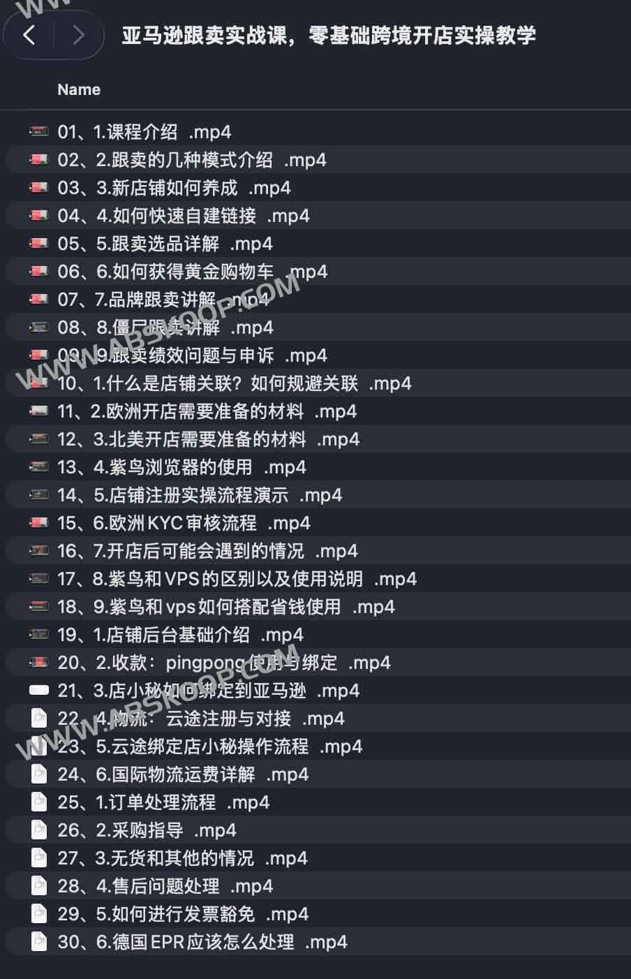 亚马逊跟卖实战课,零基础跨境开店实操教学 1 亚马逊跟卖实战课,零基础跨境开店实操教学